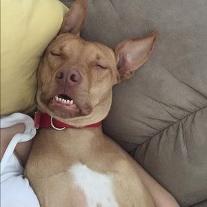 Meet your Posher, Sydni